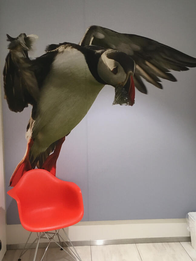 Chairbird